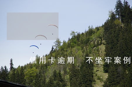 信用卡逾期 不坐牢案例 信用卡逾期 不坐牢案例